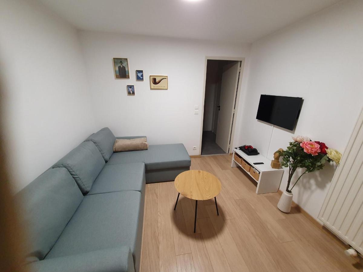 Spacious Apartment With Sea View Ostende Kültér fotó